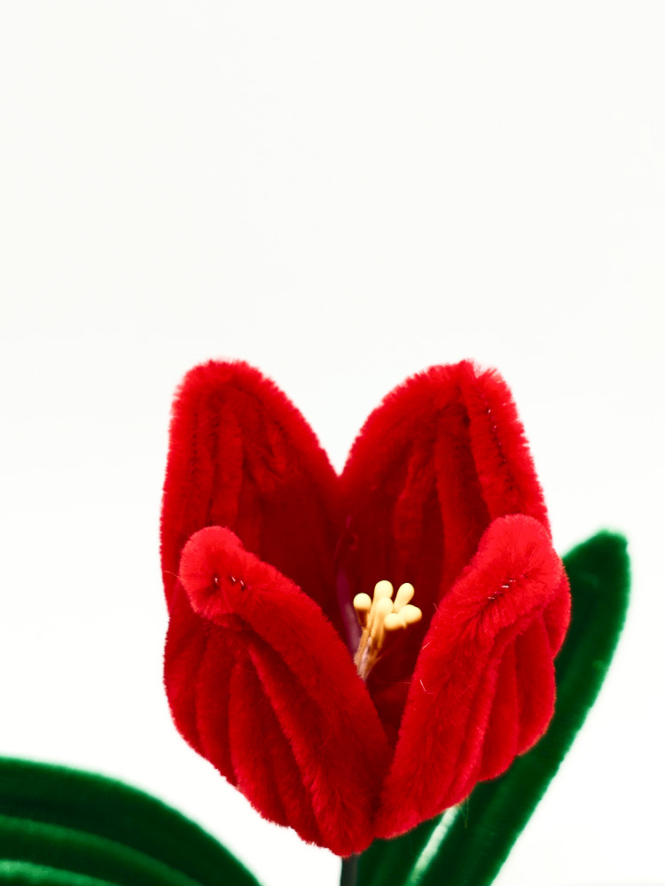 Тюльпан ручной работы «Velvet Bloom»