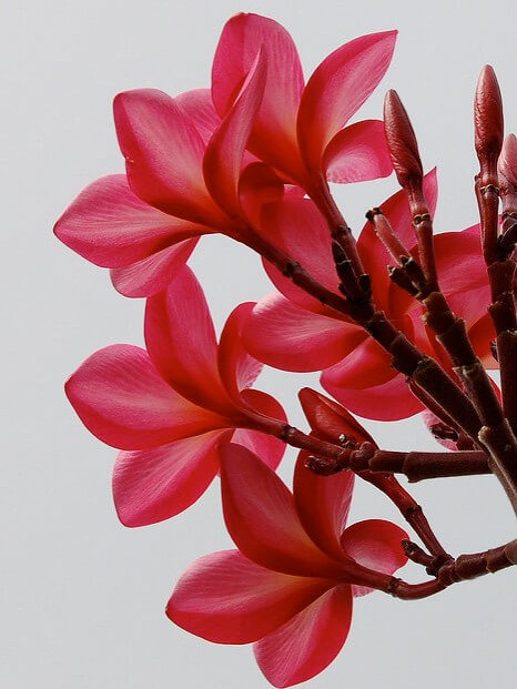 test123