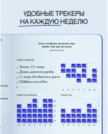 Планер Focus